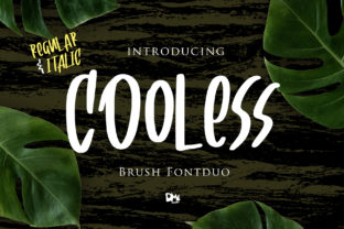 Cooless: Evaluating the Funky, Fresh, and Weird Script for Design Projects
