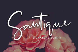 Santique and the Art of Elevating Design Through Magical Typography