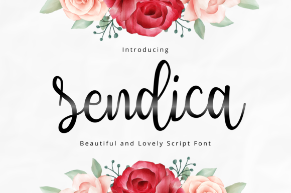 Sendica: A Playful Script Font for Modern Design