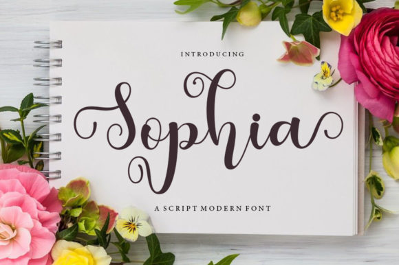 Sophia: Elegance in Every Flowing Stroke