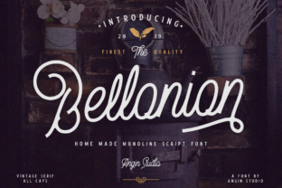 When a Script Font Like Bellonion Becomes the Heart of Your Design