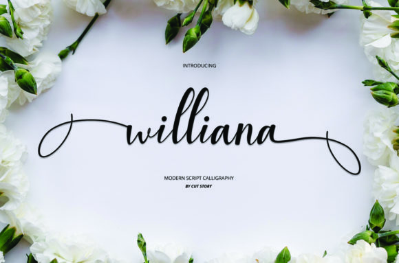 Williana and the Role of Intentional Type in Brand Clarity